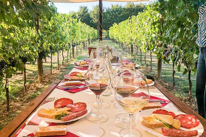 VIP Wine Experience Montalcino & Montepulciano With Lunch - The Sum Up