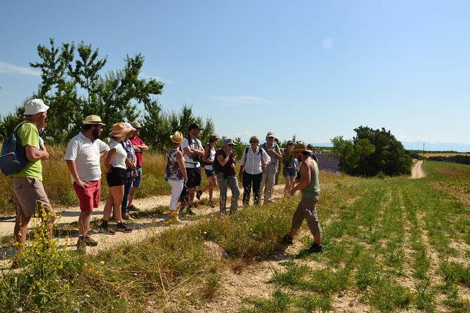 Visit a Lavender Fields Farm and Enjoy a Yoga Class in Provence - What to Expect During the Yoga Class