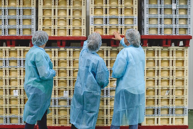 Visit La Antigua Cheese Factory (Cheese Tourism) - The Sum Up