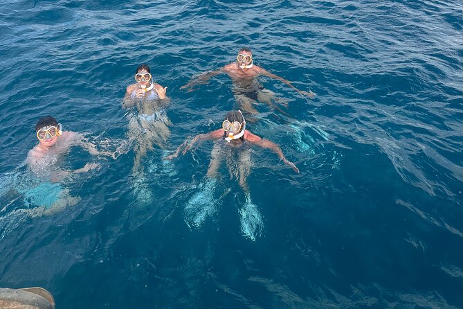 Waikiki Small Group Turtle Snorkeling & Sailing - Common Questions