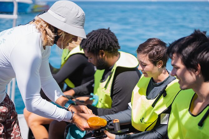 Waikiki Turtle Canyon Snorkel With Lunch and Hula Dancing - Common Questions