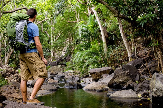 Wailua Valley & Waterfalls Audio Driving Tour - Pricing and Availability