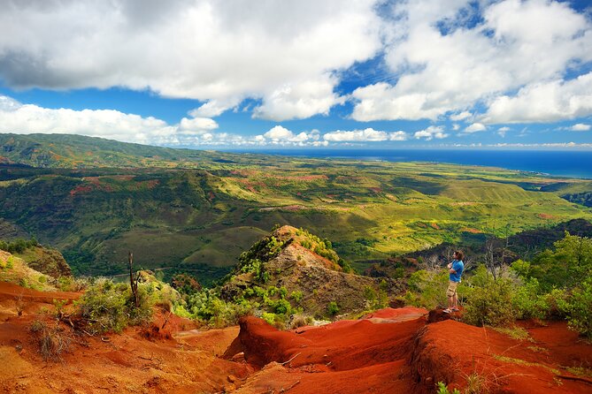 Waimea Canyon Private Tour With Local Guide - The Sum Up