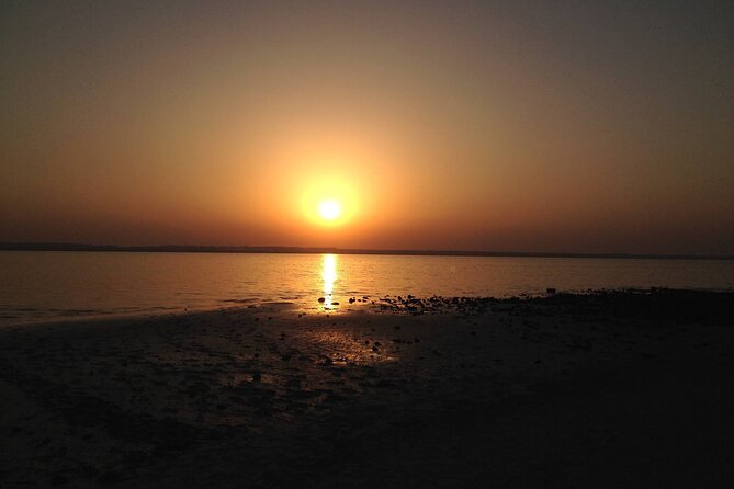 West Coast and Camel Race Track Visit - Additional Information