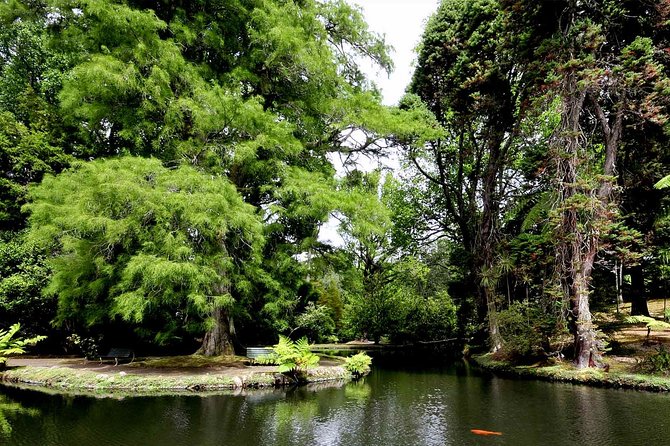 Whale and Dolphin Cruise Plus Furnas and Terra Nostra Trip  - Sao Miguel - Highlights of the Trip
