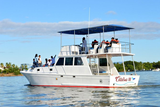 Whale & Dolphin Watching Cruise in Puerto Vallarta All Inclusive - The Sum Up