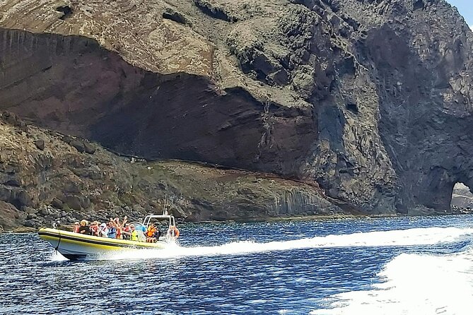 Whale & Dolphin Watching in Madeira - Common Questions