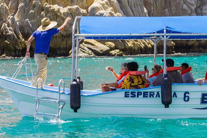 Whale Watching in Cabo San Lucas: Sightseeing Cruise and Shopping - Traveler Reviews and Recommendations