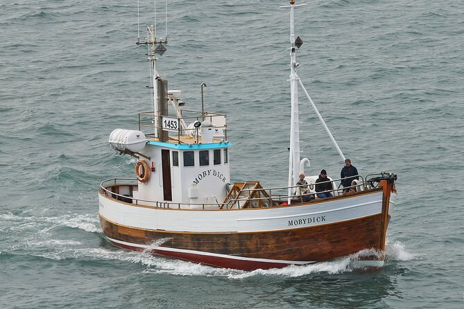 Whale Watching in Húsavík With Friends of Moby Dick - The Sum Up