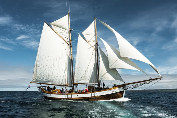 Whale Watching on a Traditional Oak Sailing Ship From Husavik - Common Questions