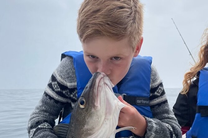 Whale Watching, Shark and Cod Fishing, From St. Johns Harbor - The Sum Up