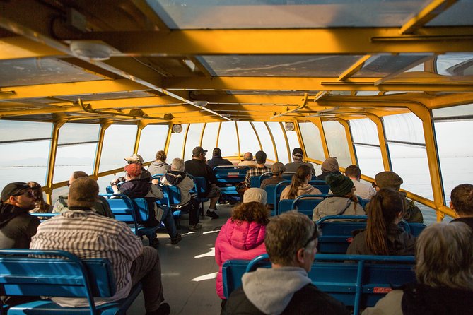 Whale-Watching Tour From Vancouver - The Sum Up