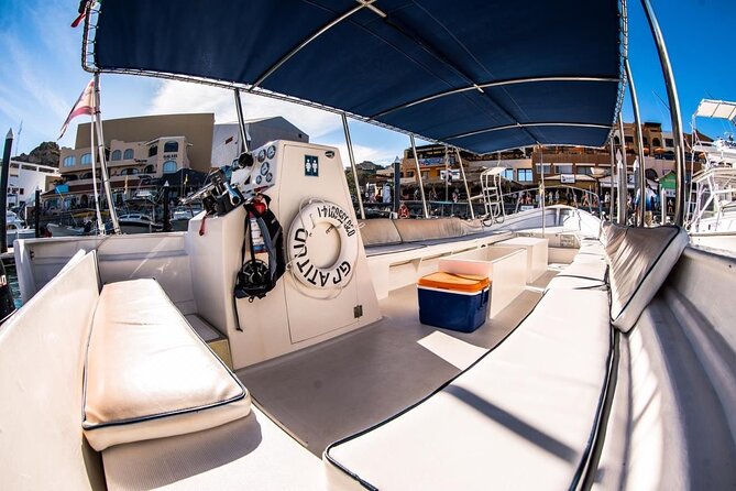 Whale Watching With Hydrophone in Cabo San Lucas - The Sum Up