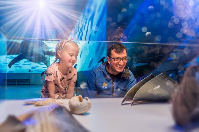 Whales Of Iceland Admission Ticket - The Sum Up
