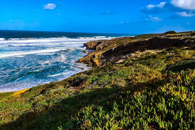 Wild and Wonderful West Coast Full Day Tour - Additional Information