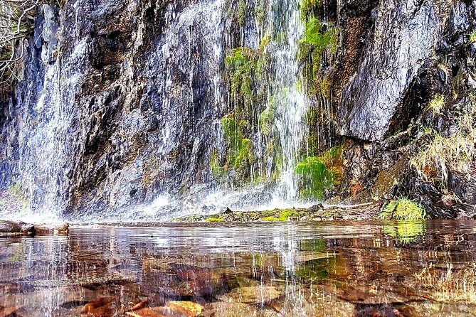 Wilderness, Wildlife, Whittier (With Airport/Hotel Transport) - Cancellation Policy