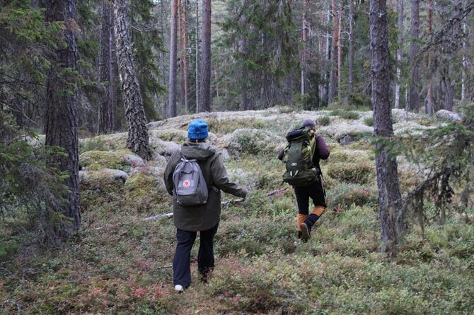 Wildlife Hiking in Stockholm With Animal Spotting - 2 Days - Additional Information and Contact Details