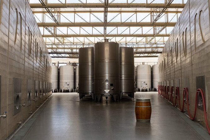 Wine and Pisco Tasting Experience by Caravedo and Tacama in Ica - Immersive Vineyard Tours and Wine Making Process