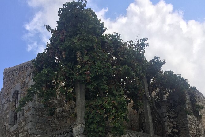 Wine Olive Oil Tasting-Traditional Villages - Small Group. - Common Questions