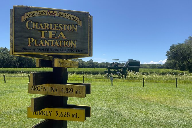Wine Sippin, Tea Drinkin & Tree Huggin Tour: The Wadmalaw Adventure - Traveler Reviews and Highlights
