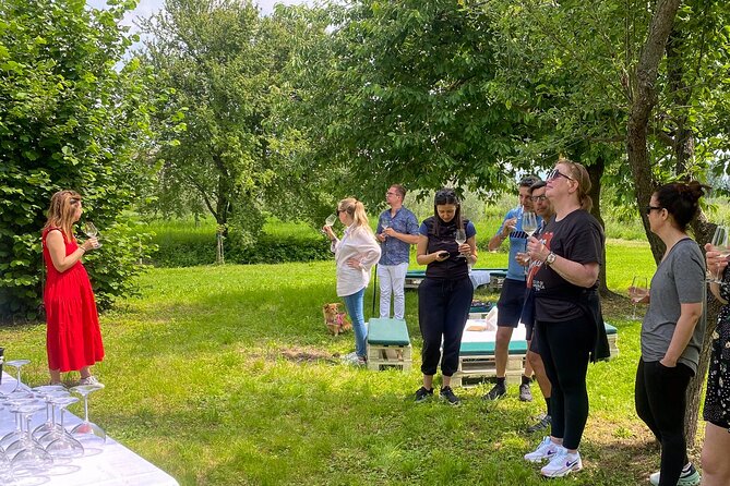 Wine Tasting and Tour of Lugana Wines in Sirmione - Tour Highlights