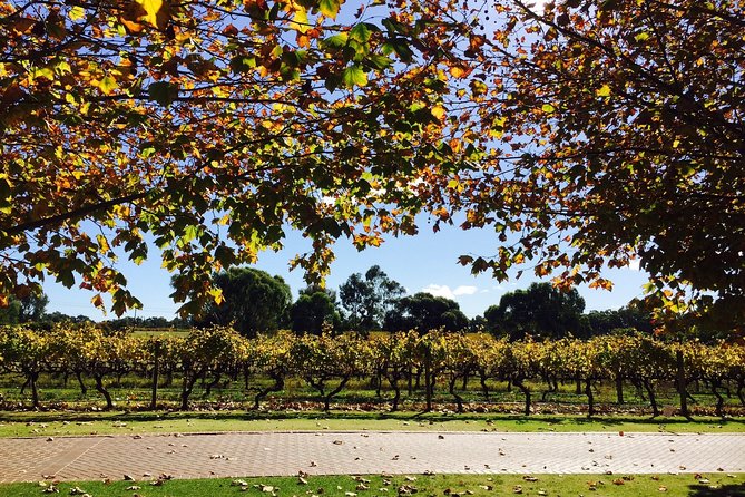 Wine Tasting Day Trip and Swan Valley River Cruise to Perth - Additional Information