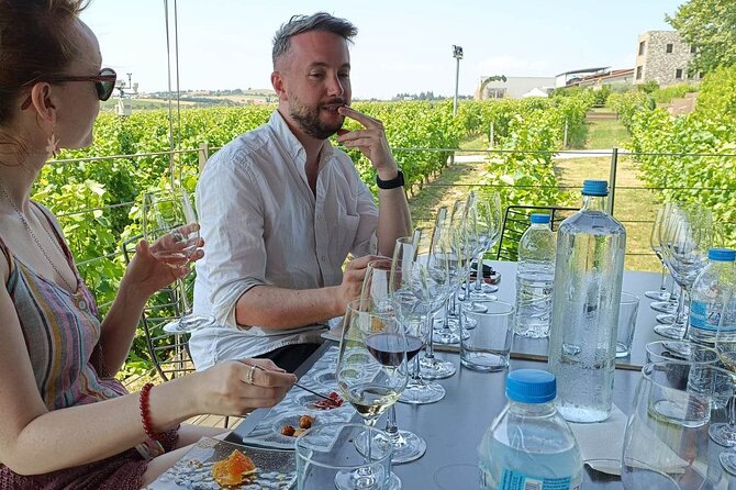 Wine Tasting Experience From Thessaloniki - The Sum Up