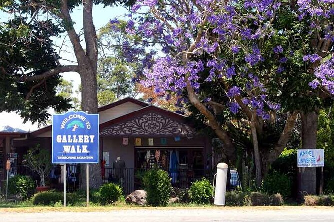 Wine Tasting Tour to Tamborine Mountain - Indulge in Delicious Cuisine
