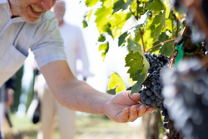 Winery Tour & Gourmet Tasting in Montalcino - Directions and Meeting Point