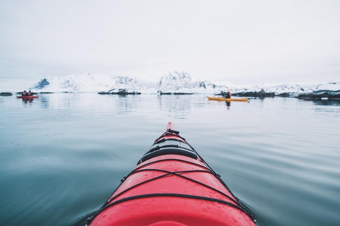 Winter Half Day Kayak Tour - Recommended Attire and Equipment