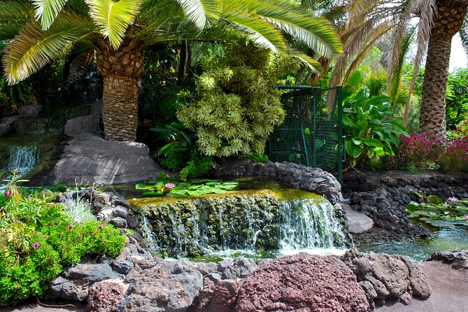 Wonderful Romantic Tour Around Fuerteventura for Couples - Common Questions