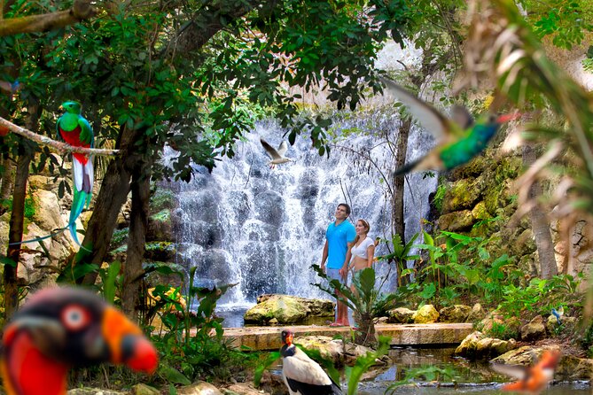 Xcaret Park Plus Access With Transportation and Night Show - Common Questions