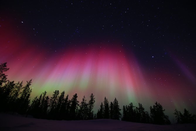 Yellowknife Tours - Aurora by Bus - The Sum Up