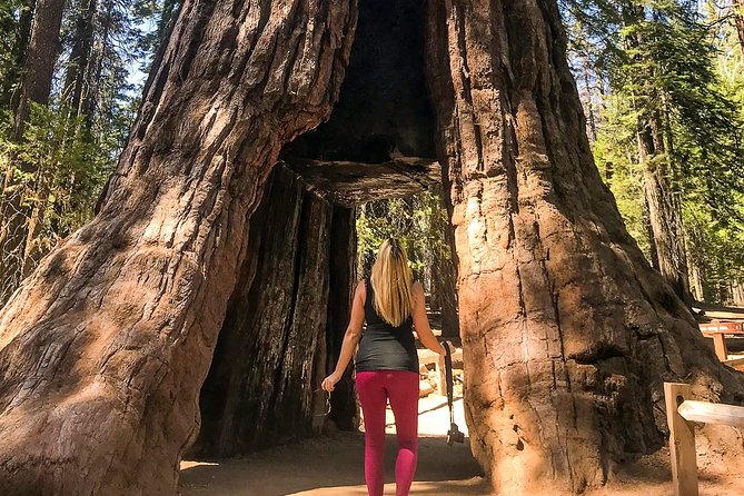 Yosemite and Giant Sequoias Day Tour - Common Questions