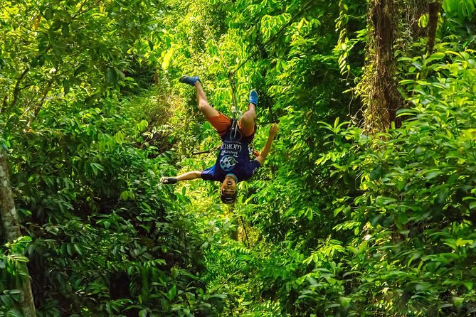 Ziplines 28 Platforms With Free Transfer Roundtrips - The Sum Up