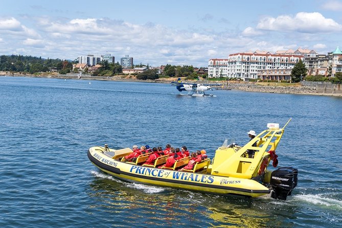 Zodiac Whale Watching Adventure From Victoria - Cancellation Policy and Weather Considerations