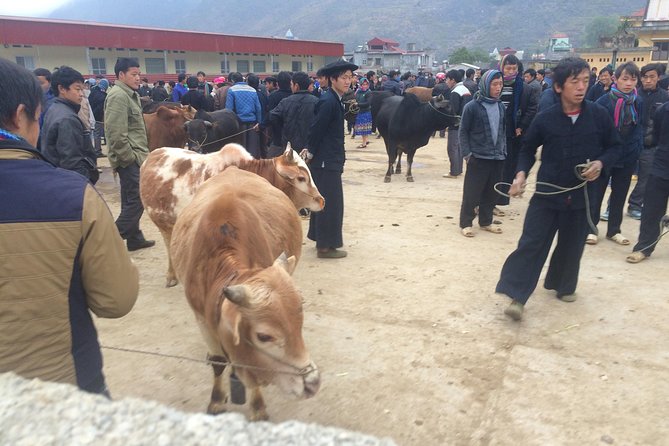 8-Day Off The Beaten Path In North Vietnam - Hanoi: The Start of the Adventure