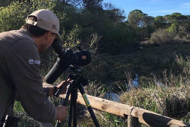 8-Days Discovering Birds of Portugal and Spain From Lisbon - Good To Know