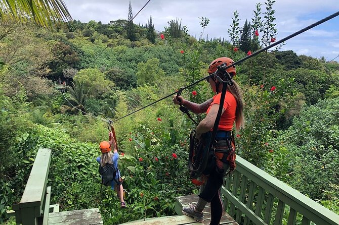 8 Lines Jungle Zipline Tour on Maui - Eco Tour
