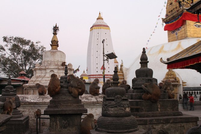 1 Day Kathmandu World Heritage Guided Tour Group Join - The Sum Up