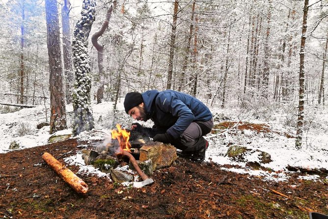 1-Day Small-Group Stockholm Nature Winter Hiking - Learning About Local Flora and Fauna