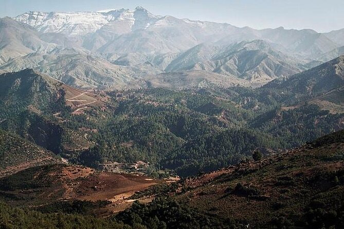 12 Days Private Luxury Sightseeing Tour in Morocco - Day 8: Activity Description