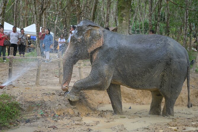 2 Days Raft, Ride, & Rescue Elephant Program in Khaolak - Common Questions