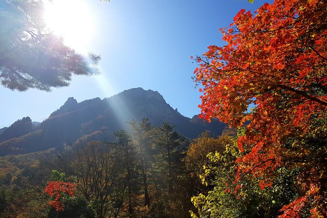 2-Days: Real Hiking to Mt Seorak Summit(1,708m) With Professional Mountaineer - The Sum Up