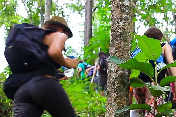 2D1N Mae Wang National Park Jungle Trekking Adventure From Chiang Mai - The Sum Up