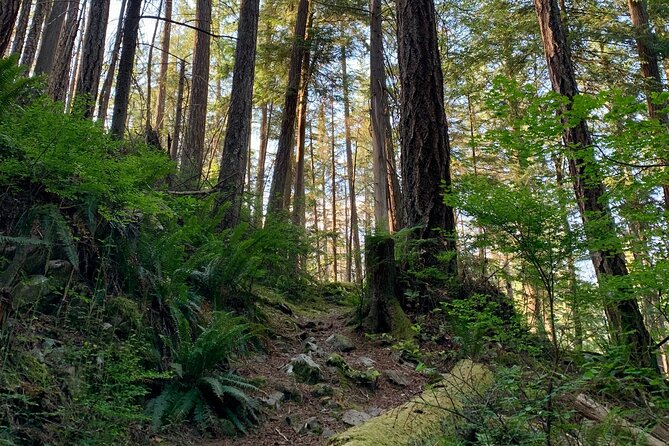3-Hour Bike Tour - Stanley Park & the World-Famous Seawall - The Sum Up