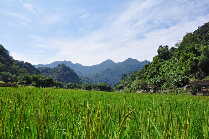 4-Day Jungle Trekking in Ba Be National Park - The Sum Up