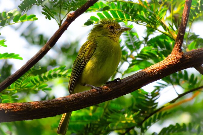 4 Days Tour to Tambopata National Reserve - Booking and Reservations for Tambopata Tour