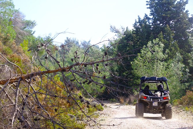 4x4 Buggy Adventures - Off-road Polaris Experience - What To Expect