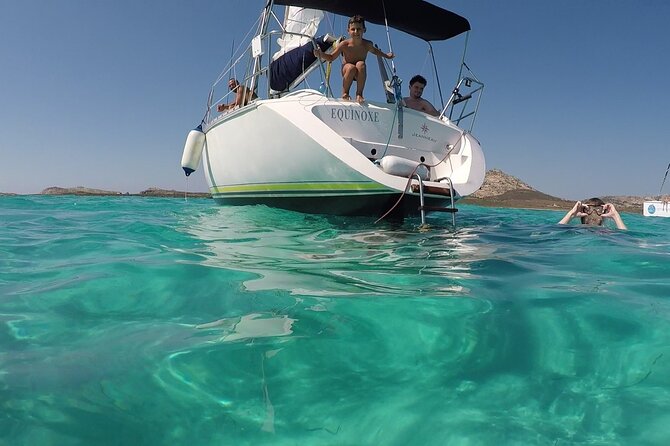 Asinara Full Day Sailboat Tour From Stintino - Common Questions